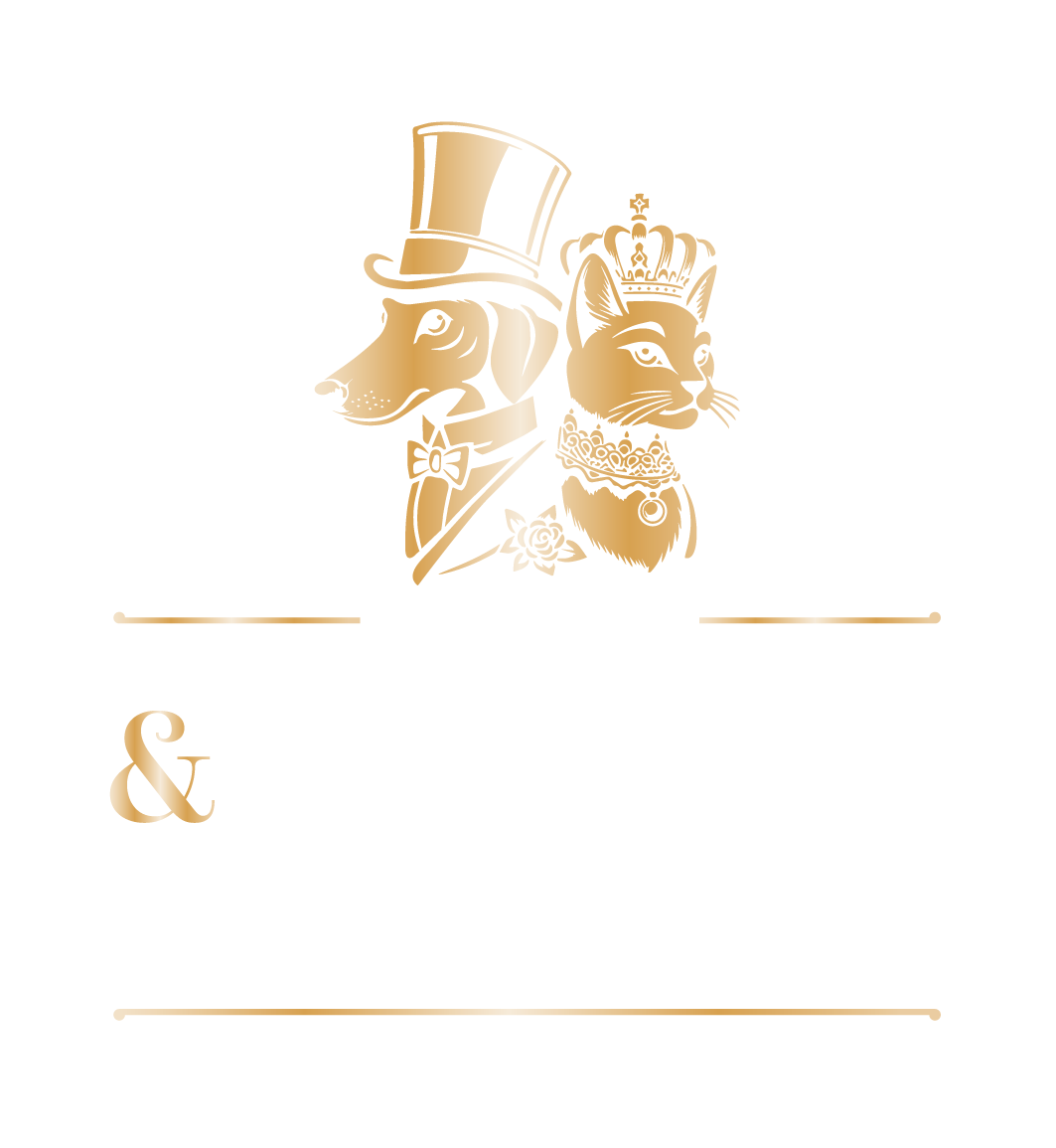 Barkin&Meowson BE